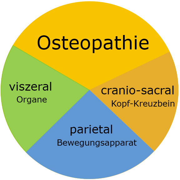 Naturheilraum Esterl Osteopathie Heilpraktikerin Physiotherapeutin in Riedering / Rosenheim "osteopathie-grafik.jpg"